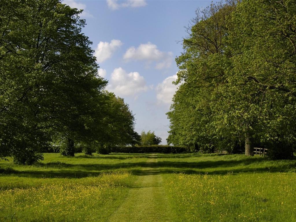 Ollivers Farm Great Yeldham Exterior photo